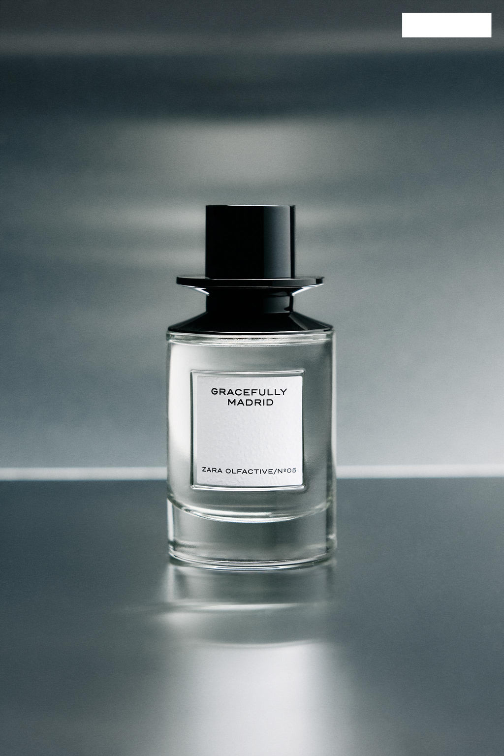 GRACEFULLY MADRID EDP 100 ML (3.4 FL. OZ)