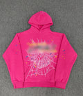 SPIIDER HOODIES